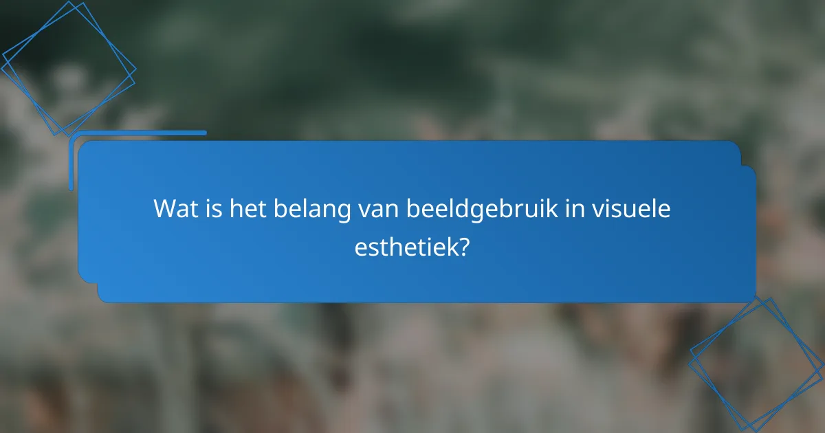 Wat is het belang van beeldgebruik in visuele esthetiek?
