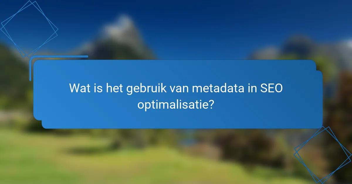 Wat is het gebruik van metadata in SEO optimalisatie?